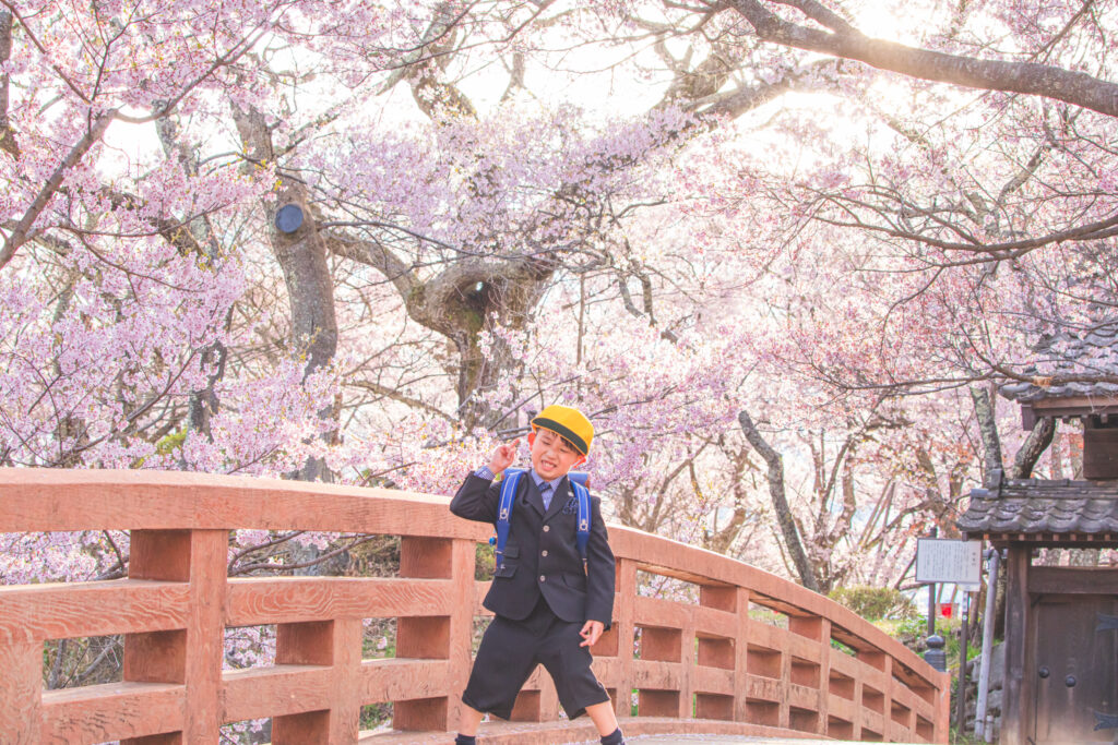 入学・卒園記念を桜と祝う🌸