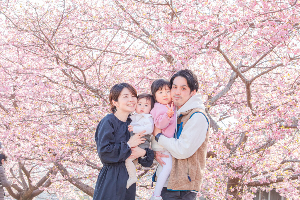 美和の河津桜🌸