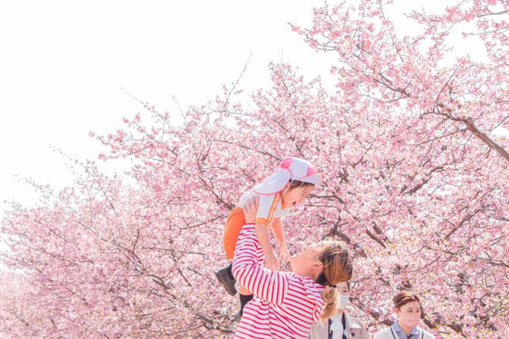 入園記念in美和の河津桜