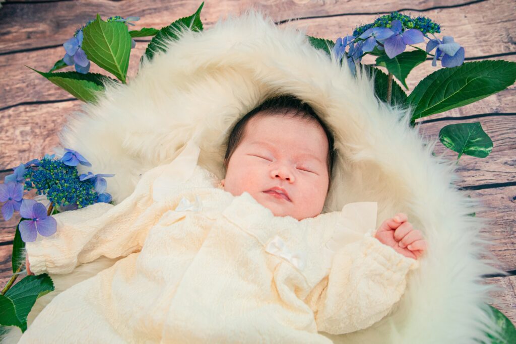 紫陽花でニューボーンフォト