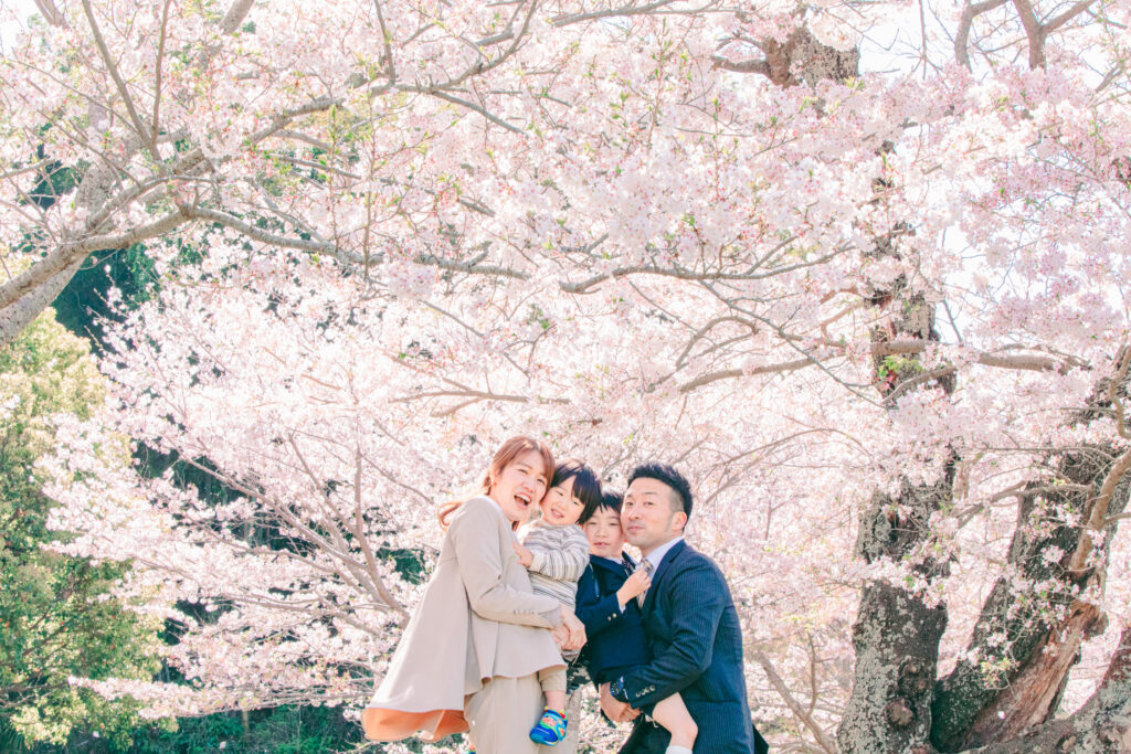 入学祝いと桜と家族と🌸