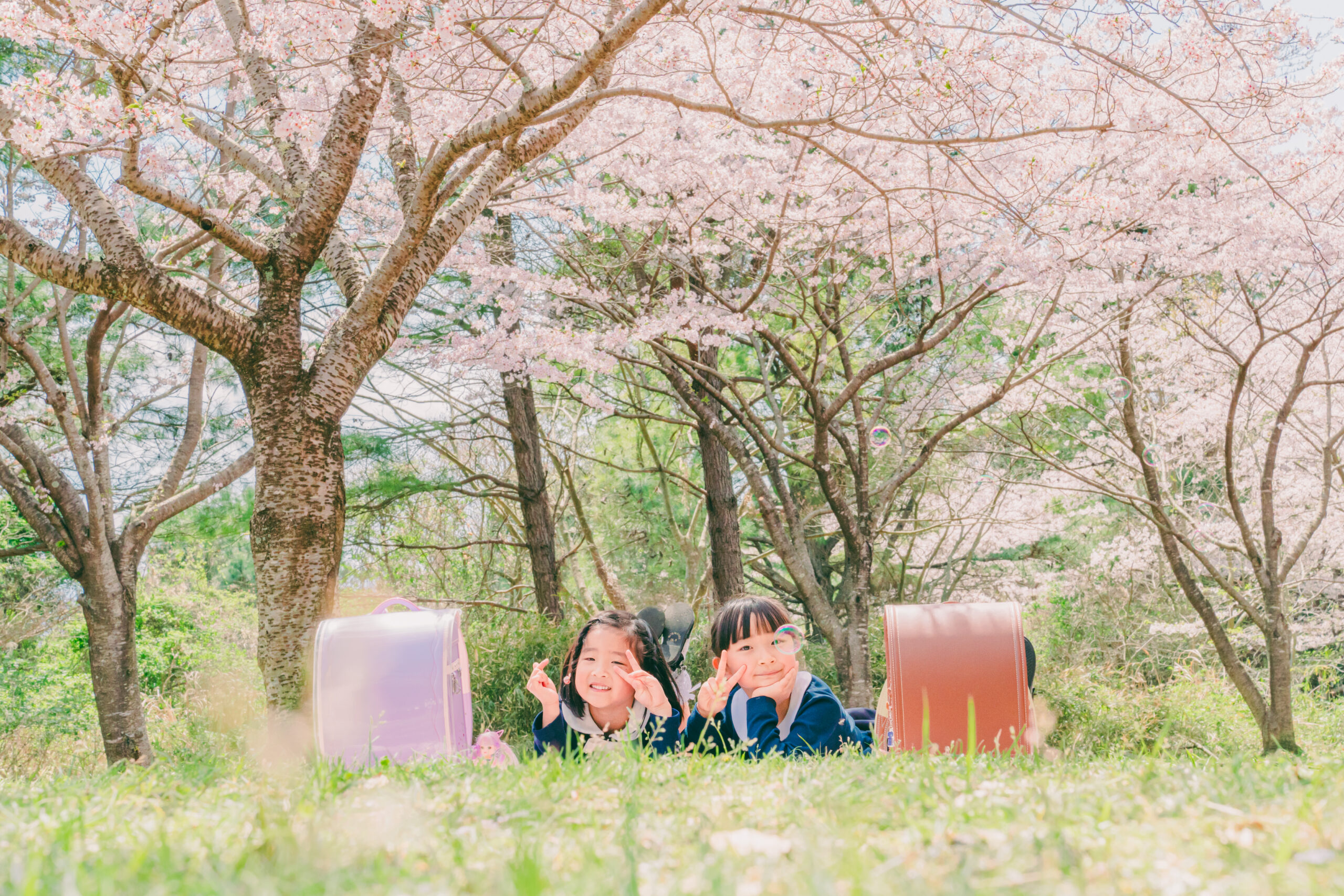 【急募🌸御殿場の桜撮影🌸】